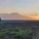 Social Media Reise - Kilimandscharo Sunrise